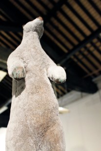 portrait3_isntownisnt